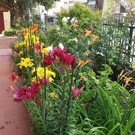 Sea View Tonias Poseidon شقة *